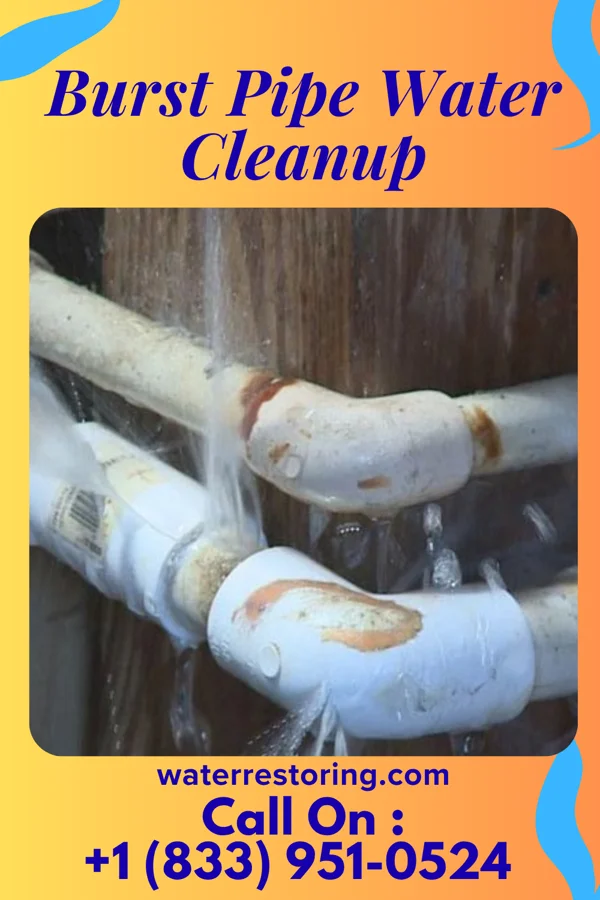 Burst Pipe Water Cleanup in Seconsett Island, MA