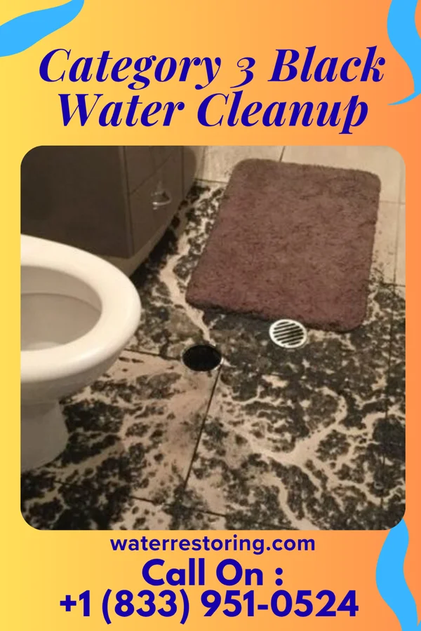 Category 3 Black Water Cleanup in Seconsett Island, MA