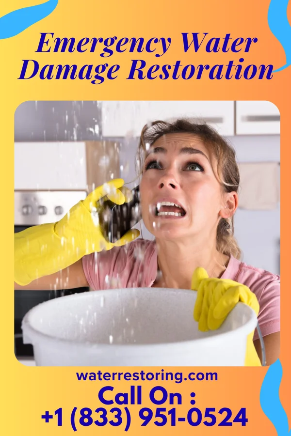 Emergency Water Damage Restoration in Seconsett Island, MA